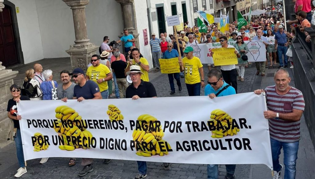 La Palma se moviliza para salvar de la ruina a miles de familias que cultivan plátano en Canarias