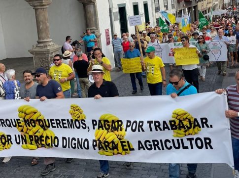 La Palma se moviliza para salvar de la ruina a miles de familias que cultivan plátano en Canarias