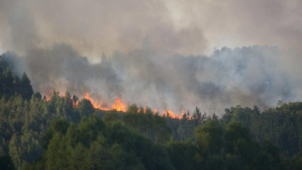Los autónomos de Tenerife afectados en los incendios pueden solicitar la prestación por cese de actividad sin cerrar su negocio
