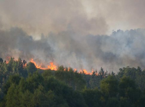Los autónomos de Tenerife afectados en los incendios pueden solicitar la prestación por cese de actividad sin cerrar su negocio