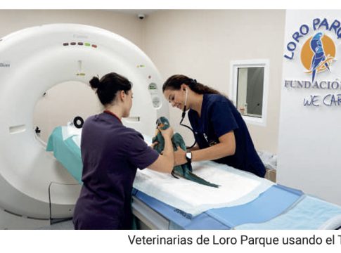 Loro Parque incorpora un tac que permitirá avanzar en la atención veterinaria y el bienestar animal