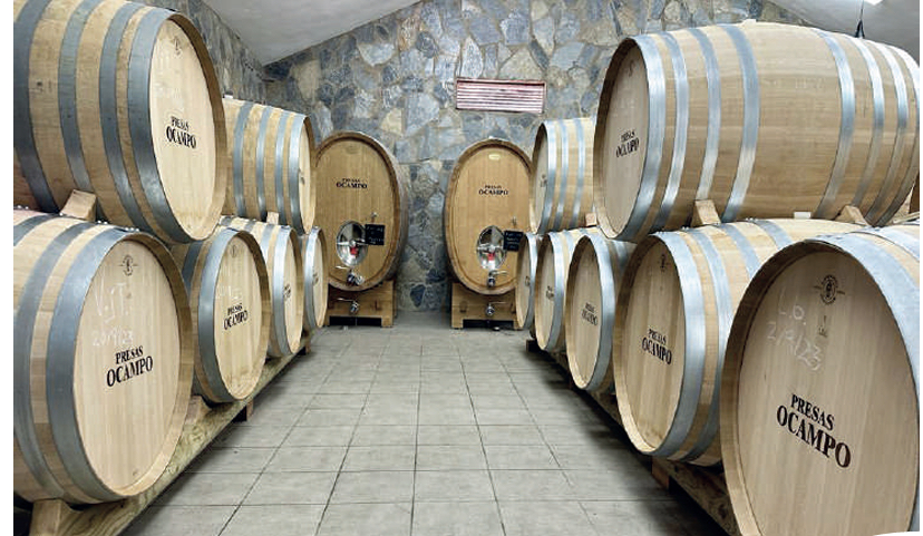 Leonardo Martín: “Ahora hay un “boom” en el consumo de vino blanco”