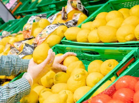 Mercadona comprará 220.000 toneladas de cítricos de origen nacional, un 10% más