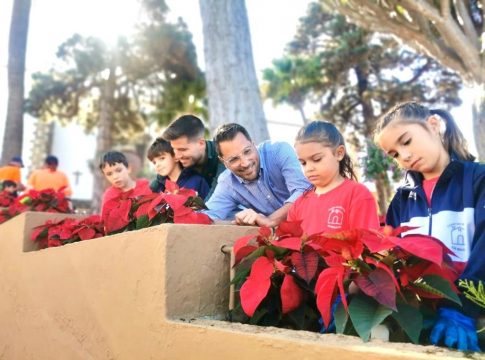 Escolares de Los Realejos ayudan al personal municipal de Jardinería en la siembra de 4.500 flores de pascua