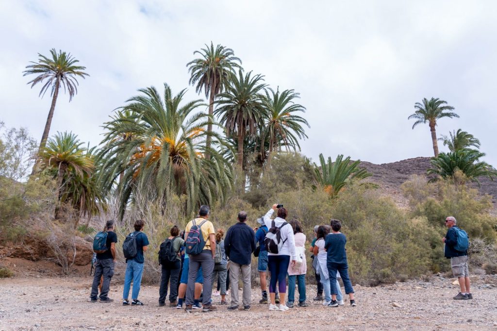 CAMA 2023 concluye con éxito con una suelta de pardelas y una visita al palmeral de la madre del Agua