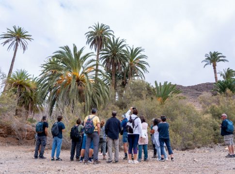 CAMA 2023 concluye con éxito con una suelta de pardelas y una visita al palmeral de la madre del Agua