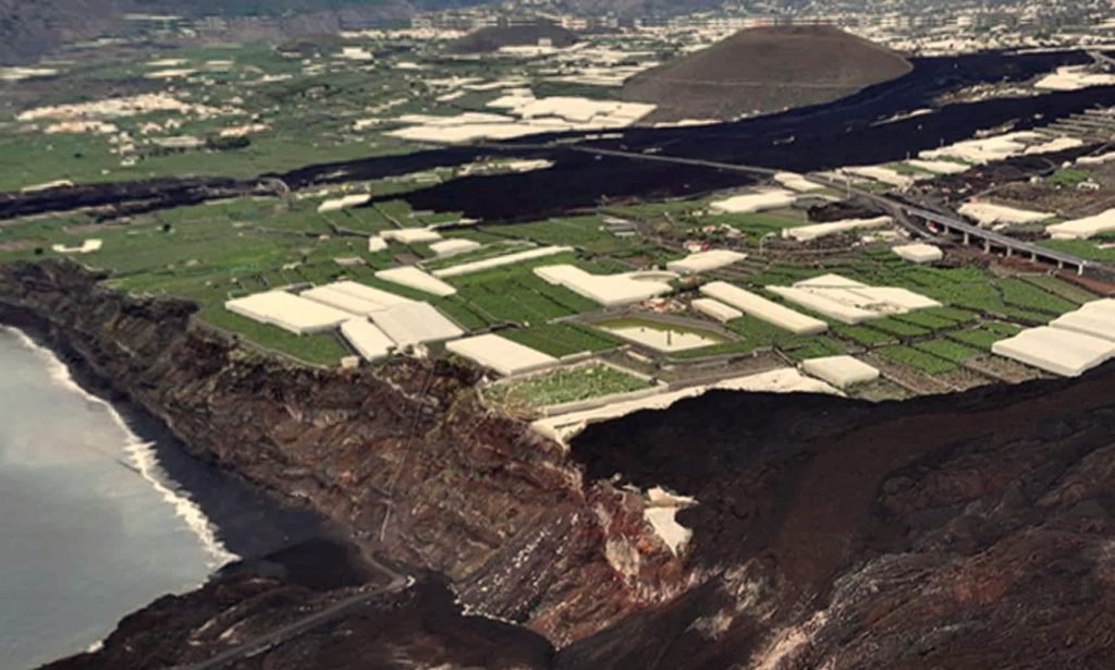 La Asociación Social Cumbre Vieja valora que el PP defienda la reconstrucción agraria ya consensuada con los afectados del volcán la pasada legislatura