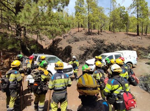 El SCE financia los contratos de 63 desempleados para recuperar las zonas afectadas por el incendio de Tenerife