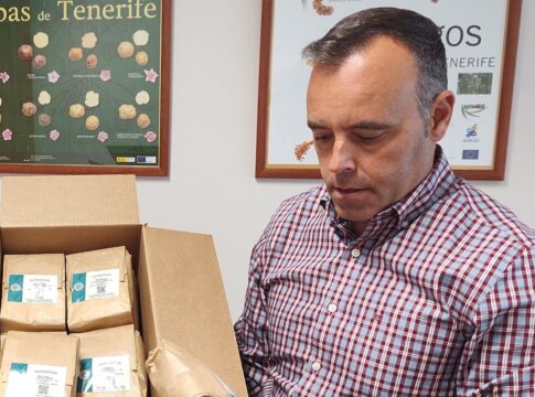 Los Realejos inicia este mes de marzo con agricultores la entrega de feromonas para el control de la polilla