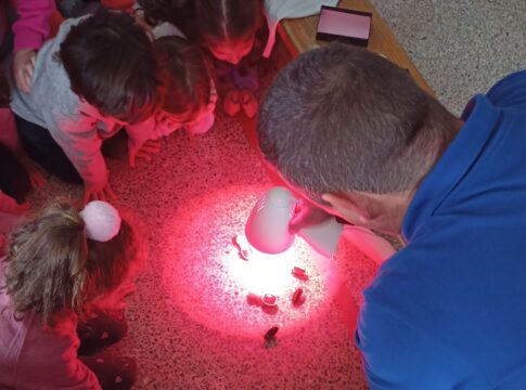 Cerca de 2.000 alumnos canarios participan en el programa educativo de Fundación Naturgy sobre tecnologías energéticas