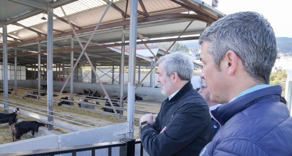 Clavijo anuncia ayudas de 100.000 euros para jóvenes que quieran poner en marcha una empresa agraria