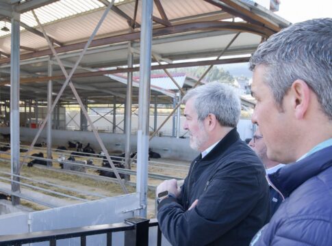 Clavijo anuncia ayudas de 100.000 euros para jóvenes que quieran poner en marcha una empresa agraria