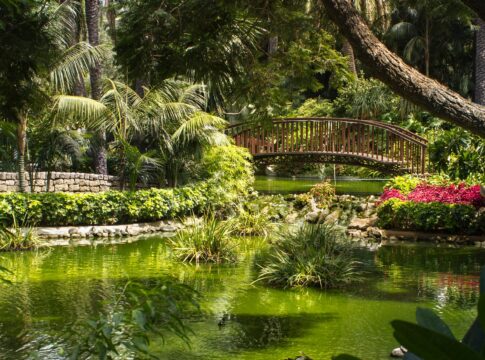 El Hotel Botánico & The Oriental Spa Garden, en la lista de los mejores del mundo