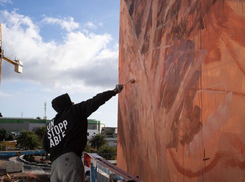 El Paso en la isla de La Palma acogió con enorme éxito una nueva edición del Trashplant Festival