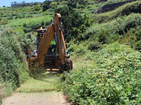 Trabajos de limpieza en las pistas agrícolas