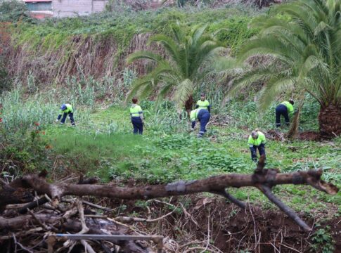 El Ayuntamiento de Tacoronte mejora el barranco Granados, en la zona de Hoya Machado