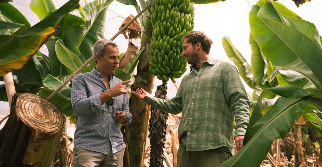 Coca-Cola apuesta por las nuevas tecnologías para regenerar el agua residual de sus procesos y asegurar su uso en la agricultura