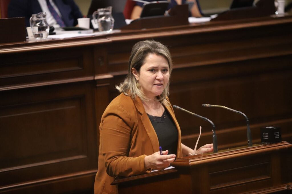 El PSOE exige al Gobierno canario que explique el criterio de reparto de las ayudas ante el descontento generado entre el sector agrícola del Valle de Aridane de La Palma