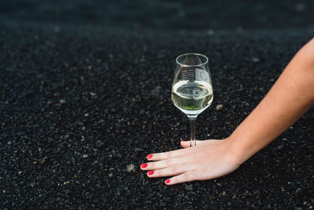 La DOP Vinos de Lanzarote luce trece galardones más en su vitrina