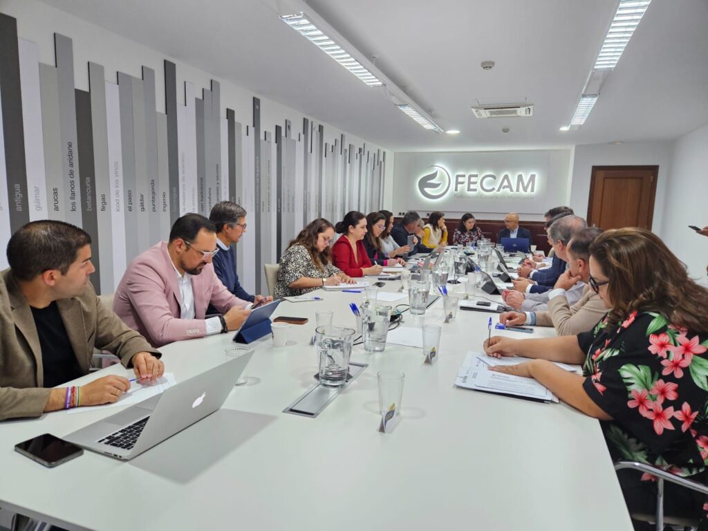 El Comité Ejecutivo de la FECAM y la Consejería de Turismo abordan el Anteproyecto de Ley de Ordenación Sostenible del Uso Turístico de Viviendas