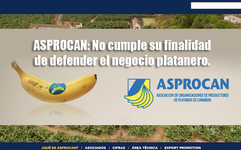 La Plataforma por un Precio Justo del Plátano descubre que ASPROCAN no aparece como asociación legalmente registrada