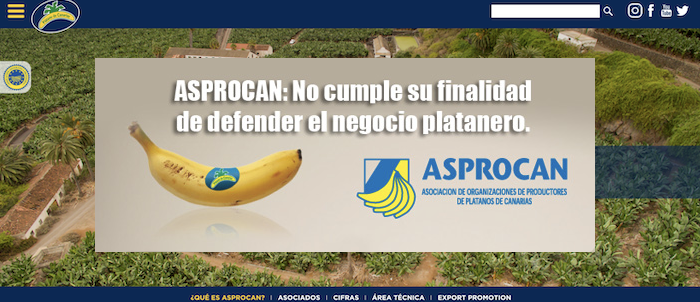 La Plataforma por un Precio Justo del Plátano descubre que ASPROCAN no aparece como asociación legalmente registrada