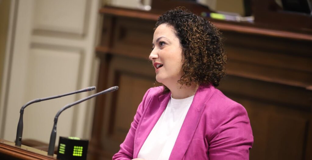 Jana González Alonso valora el informe de la Diputación del Común y el reflejo de mejoras en áreas importantes como Sanidad, Educación o Sector primario