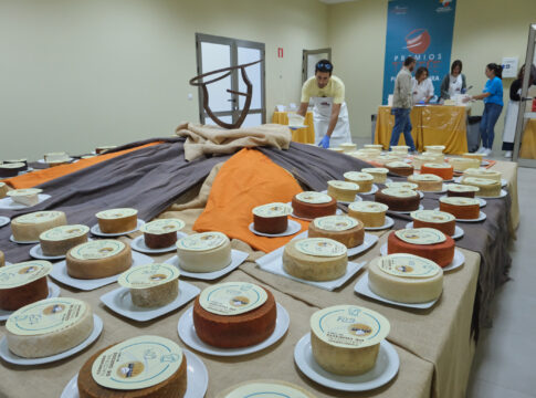 El semicurado Filo del Cuchillo de Lanzarote elegido mejor queso de leche de cabra de Canarias en los Premios Tabefe