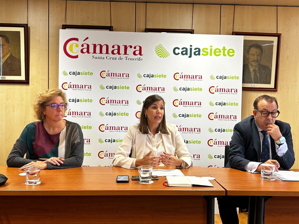 El comercio canario “saca músculo” y arranca el año con aumentos en  ventas y empleo