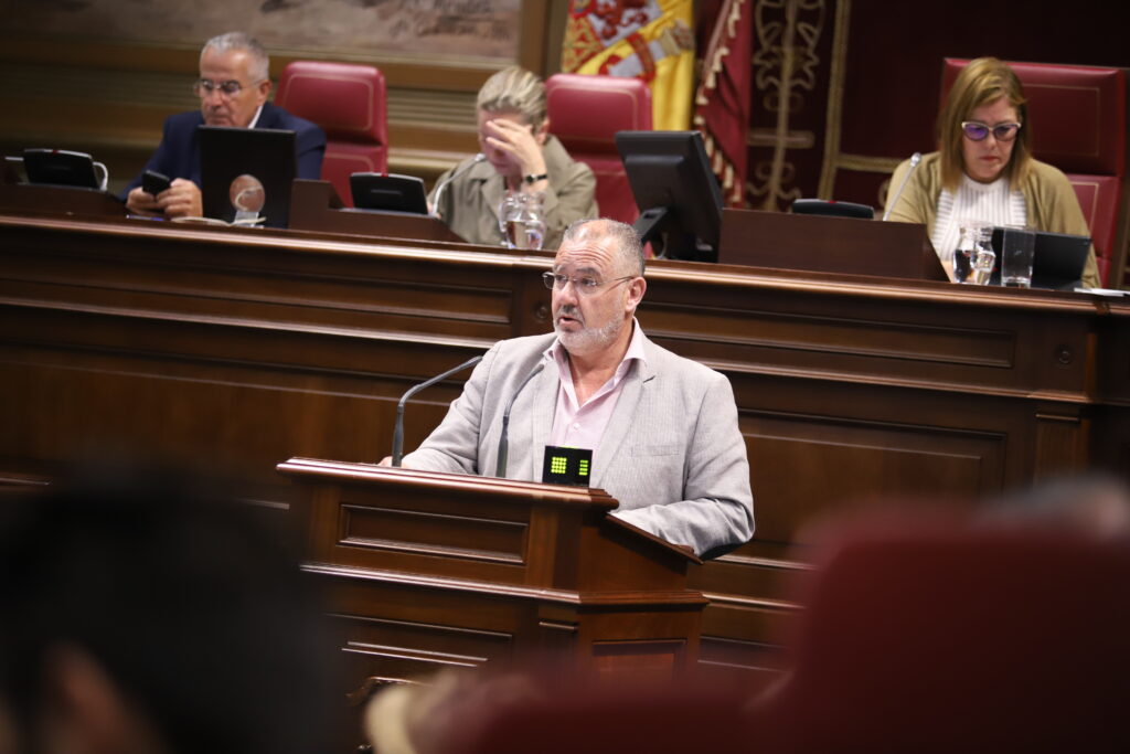 El PSOE impulsa medidas para la conservación del camello canario y garantizar su recuperación