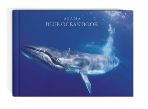 Francis Pérez impartirá una charla divulgativa sobre ‘Abama Blue Ocean Book’ en Las Terrazas de Abama Suites por El Día de Los Océanos