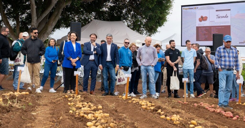 Fedola impulsa el futuro del cultivo de la papa con la sexta edición de Papatour