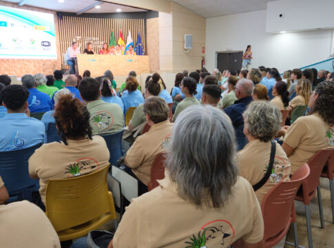 Los cinco nuevos PFAEs del Cabildo abordarán sectores clave y emergentes de Fuerteventura