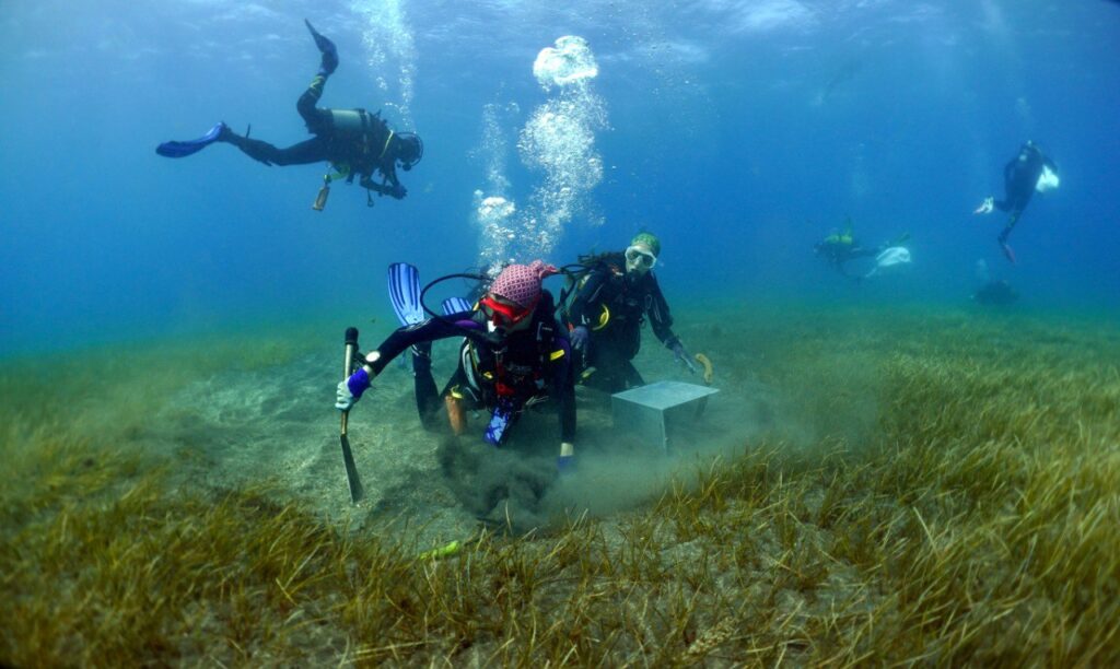 Restaurando el Océano: Innoceana es pionera con el proyecto "Los Jardineros del Mar"