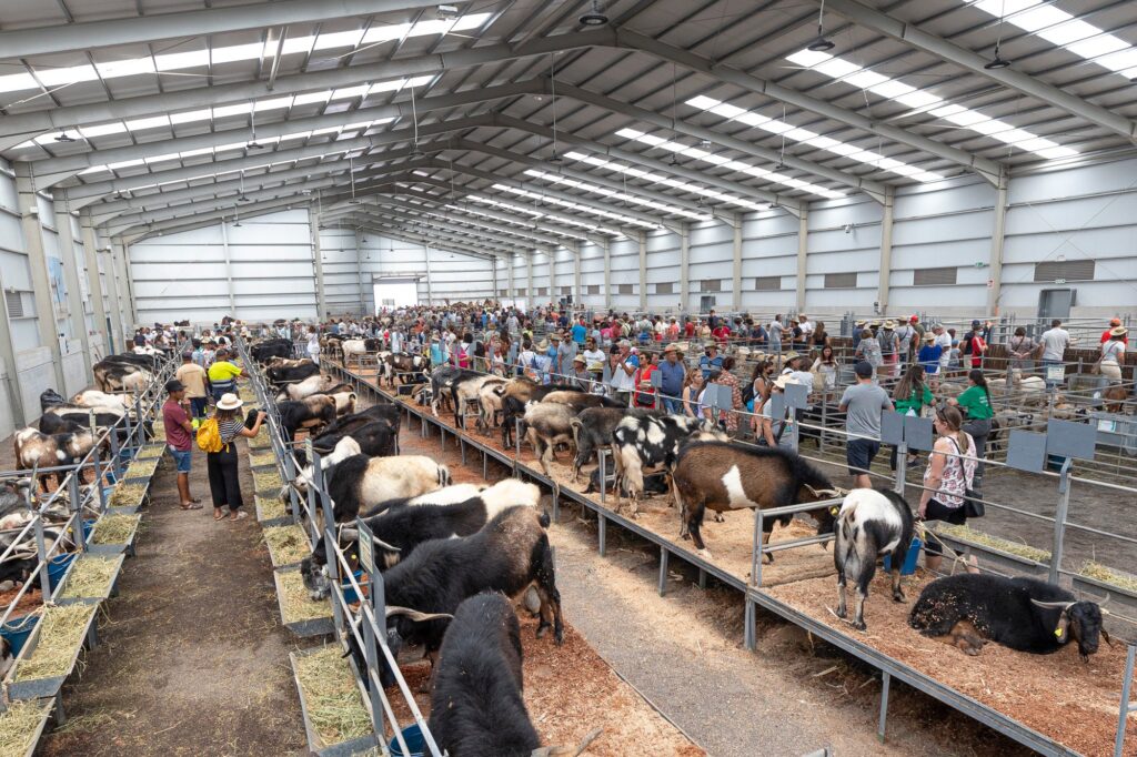 La 38ª Edición de la Feria de Agricultura, Ganadería y Pesca de Fuerteventura (FEAGA) se celebrará del 3 al 6 de abril de 2025