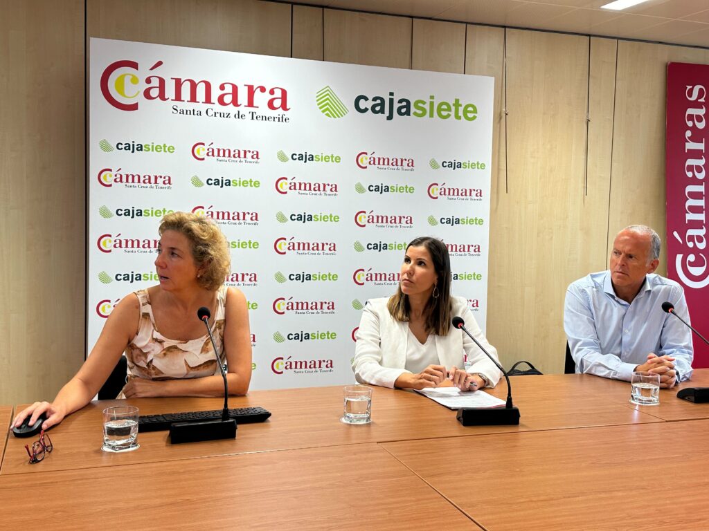 El comercio canario sigue batiendo récords de venta y empleo, pero se acentúa la desaparición de los pequeños negocios