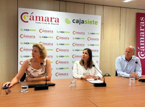 El comercio canario sigue batiendo récords de venta y empleo, pero se acentúa la desaparición de los pequeños negocios