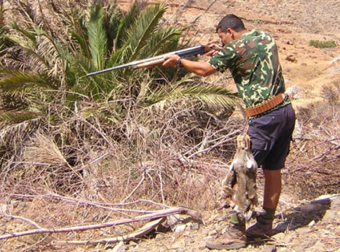 El Cabildo de Fuerteventura trabaja para tener un Plan Insular y Plan Técnico de Caza