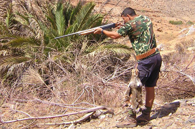 El Cabildo de Fuerteventura trabaja para tener un Plan Insular y Plan Técnico de Caza