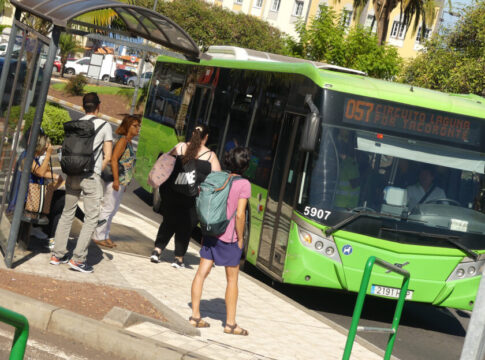 Drago Verdes Canarias propone una línea de guagua nocturna entre La Laguna y La Punta del Hidalgo