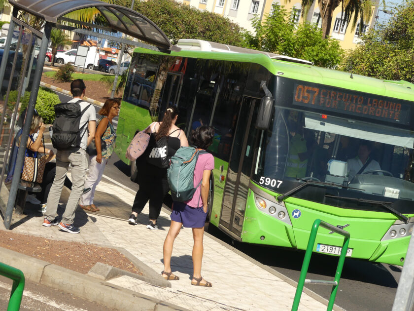 Drago Verdes Canarias propone una línea de guagua nocturna entre La Laguna y La Punta del Hidalgo
