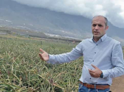 David Cabrera: “La rentabilidad es fundamental para atraer a los jóvenes al sector primario”