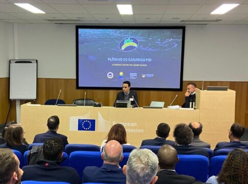 Los productores europeos de plátano trasladan a la Comisión Europea la necesidad de adoptar medidas urgentes para la viabilidad del sector