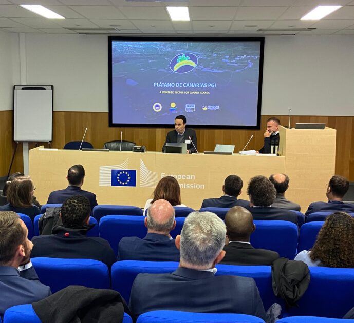 Los productores europeos de plátano trasladan a la Comisión Europea la necesidad de adoptar medidas urgentes para la viabilidad del sector
