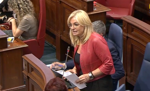Esther Monzón expone en el Parlamento de Canarias las ventajas del Visor de Historia Clínica Unificada del SCS