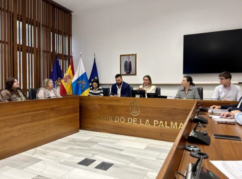 María Fernández presenta a las administraciones palmeras el proceso para la elaboración de la Ley de Movilidad Sostenible de Canarias