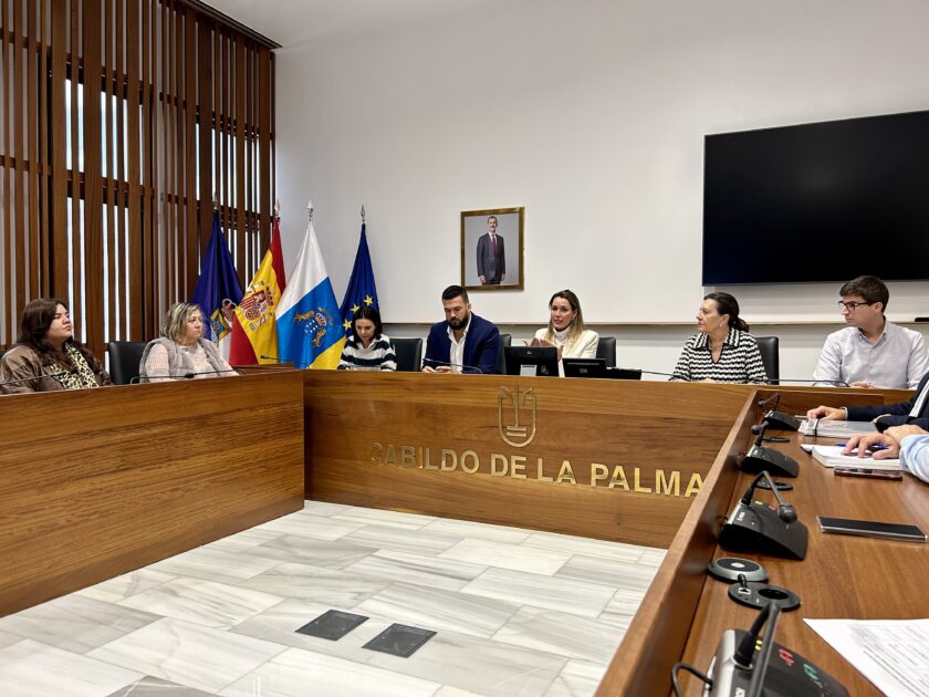 María Fernández presenta a las administraciones palmeras el proceso para la elaboración de la Ley de Movilidad Sostenible de Canarias