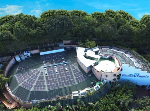 Loro Parque y Siam Park celebran la obtención de la certificación Biosphere Sustainable