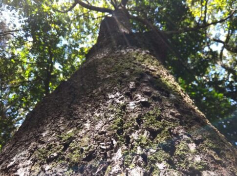 Bruno Barreto: "Todo lo relacionado con el medio ambiente se ha convertido en piedra angular para futuros desarrollos"