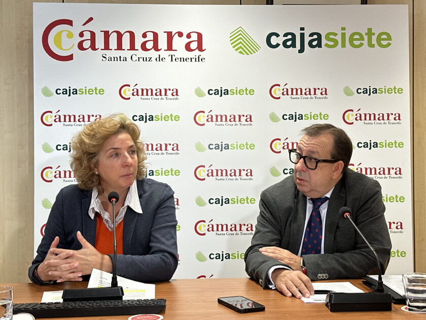 La Cámara alerta del cierre de comercios canarios pese al liderazgo nacional en ventas